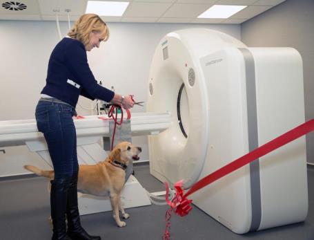 ChesterGates Veterinary Practice Imaging Suite
